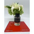 Frederic Malle Maurice Roucel Dans Tes Bras Editions De Parfums 3.4oz / 100ml