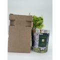 Jo Malone Iris & Lady Moore Charity Scented Candle Height 2.5 In / 6.35cm